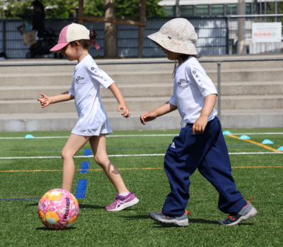 News Article Divider (4)